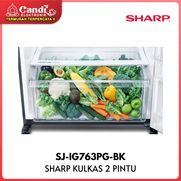 KULKAS BIG REFF 2 PINTU SHARP